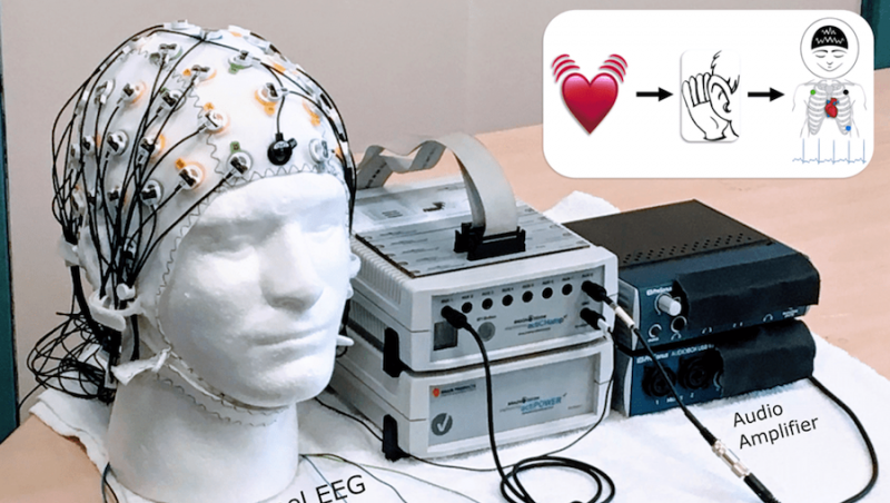 EKG sensor device and oscilloscope used for empathy research