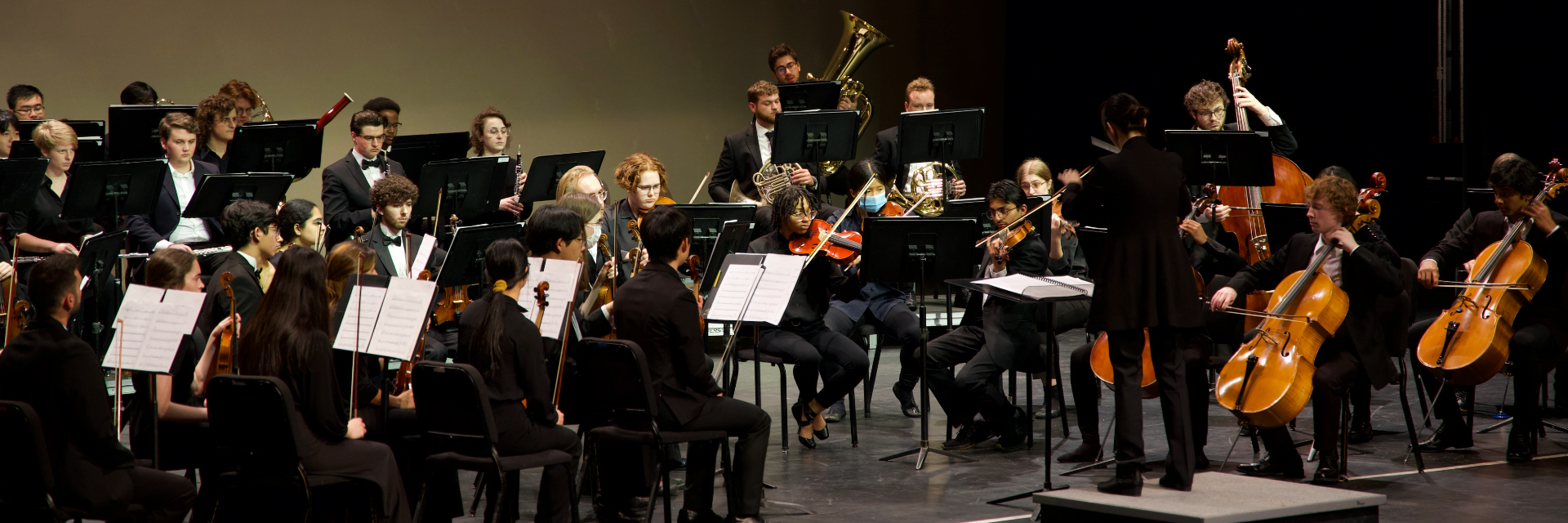 Picture of concert orchestra