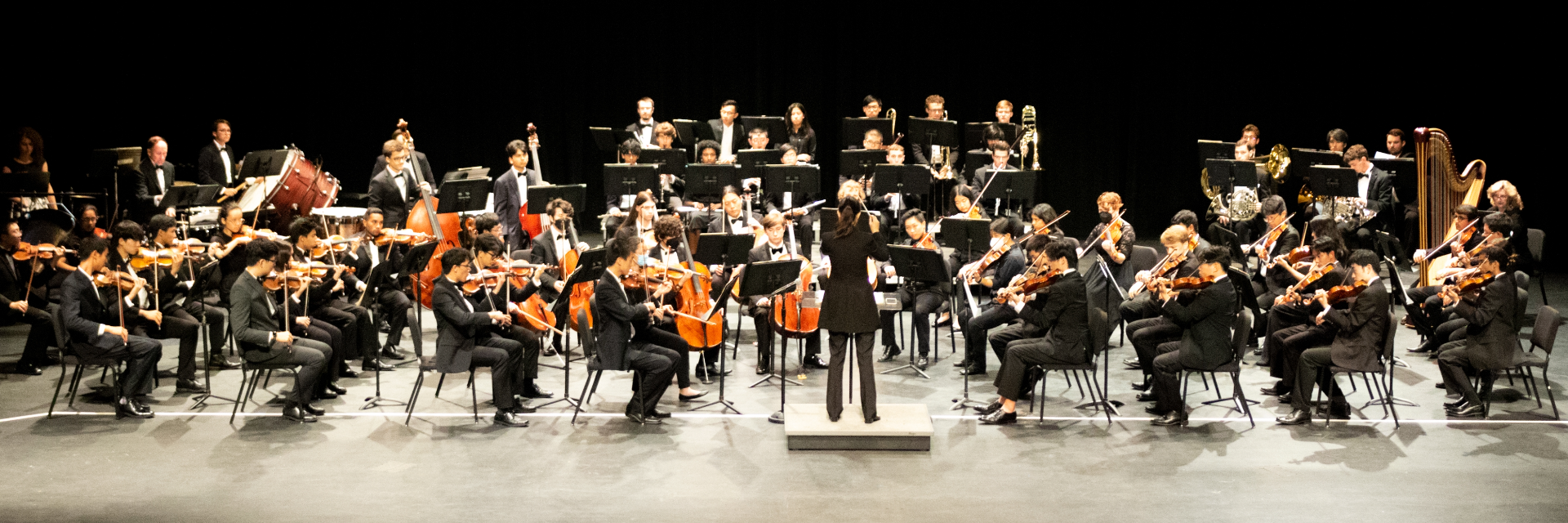 Picture of symphony orchestra